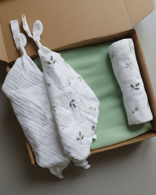 Set Cotone Biologico